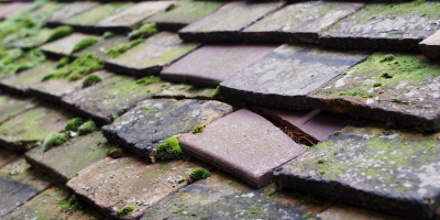 Royton roof repair costs